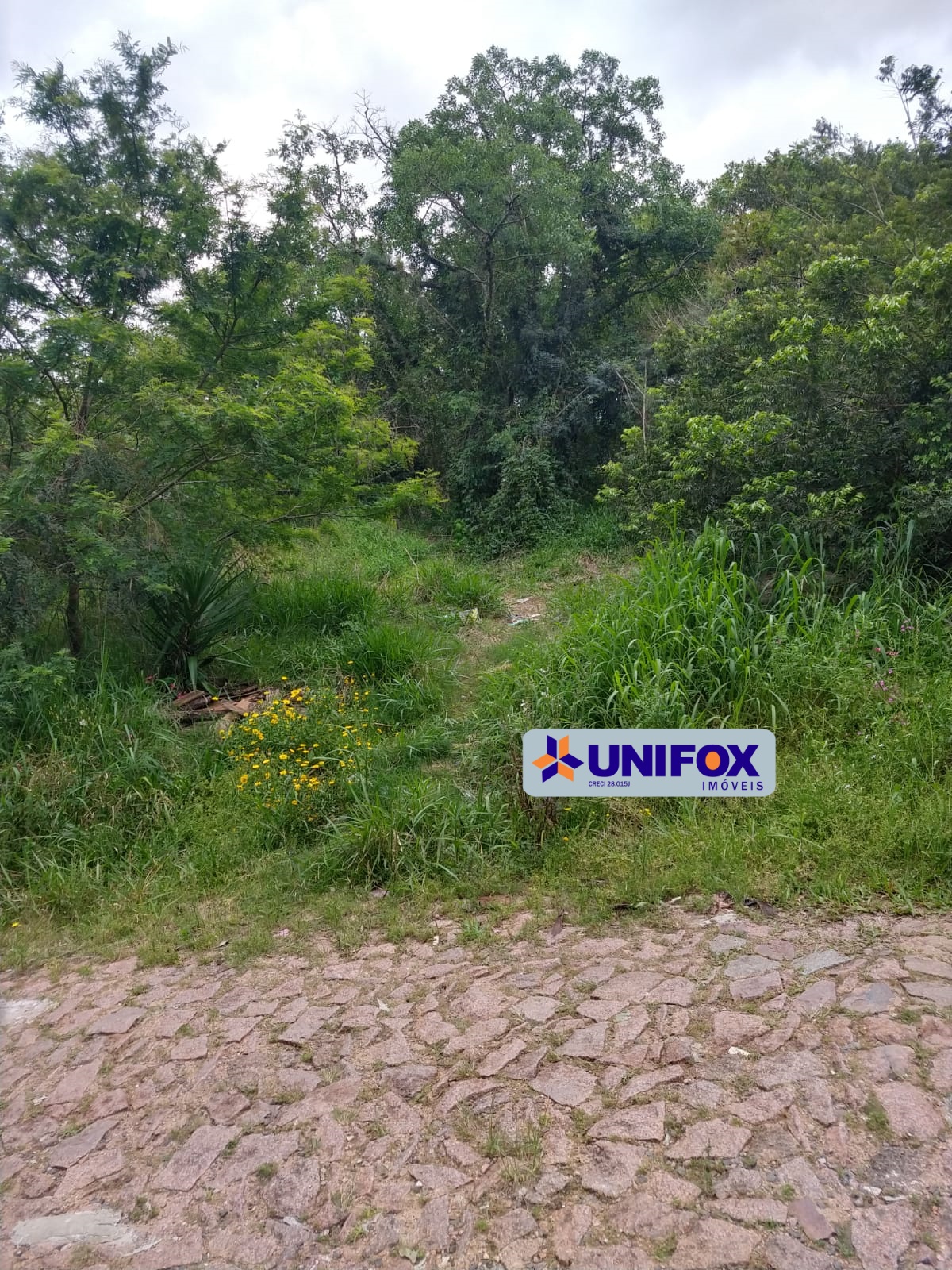 Terreno - Jardim Fiúza - Porto Alegre / RS